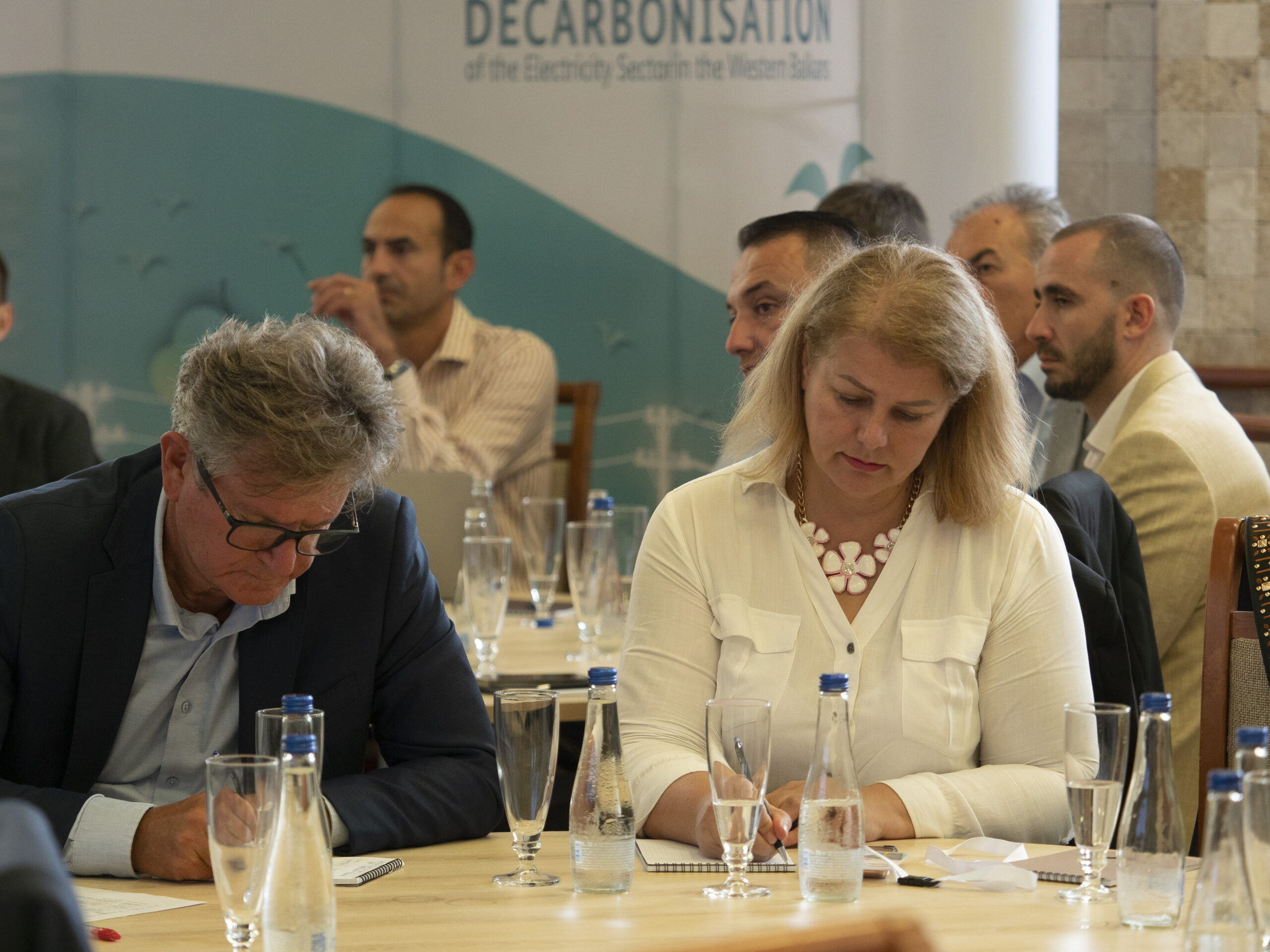 Priorities for grid decarbonization in focus of the second “Regional Power Exchange”